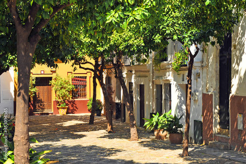 The famous neighborhood of Holy Cross (Barrio de Santa Cruz) in Seville, Andalusia, Spain photo