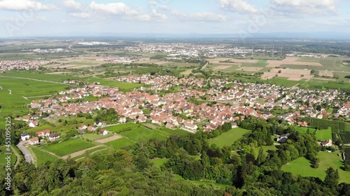 General aerial view of Kintzheim village, green trees on foreground, wineries around. Selestat city seen at distance. Settlements and landscape of Alsace, famous wine making region of France photo