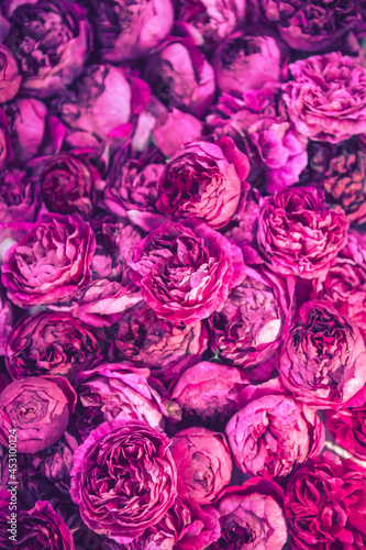 Fototapeta Naklejka Na Ścianę i Meble -  rose petals background