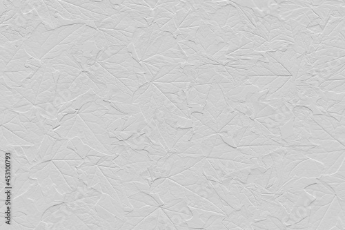 Fototapeta Naklejka Na Ścianę i Meble -  Faktura, flora, liście bluszczu, odcisk w białym gipsie ceramicznym. Tłoczony, ozdobny papier, zaproszenia, wizytówki, tapeta. Świeży, czysty