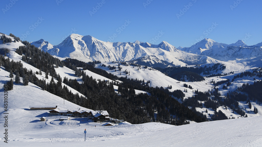 Mountain ranges of the Bernese Oberland in winter. View from Horeflue.