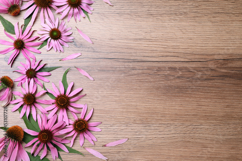 Beautiful echinacea flowers on wooden table, flat lay. Space for text