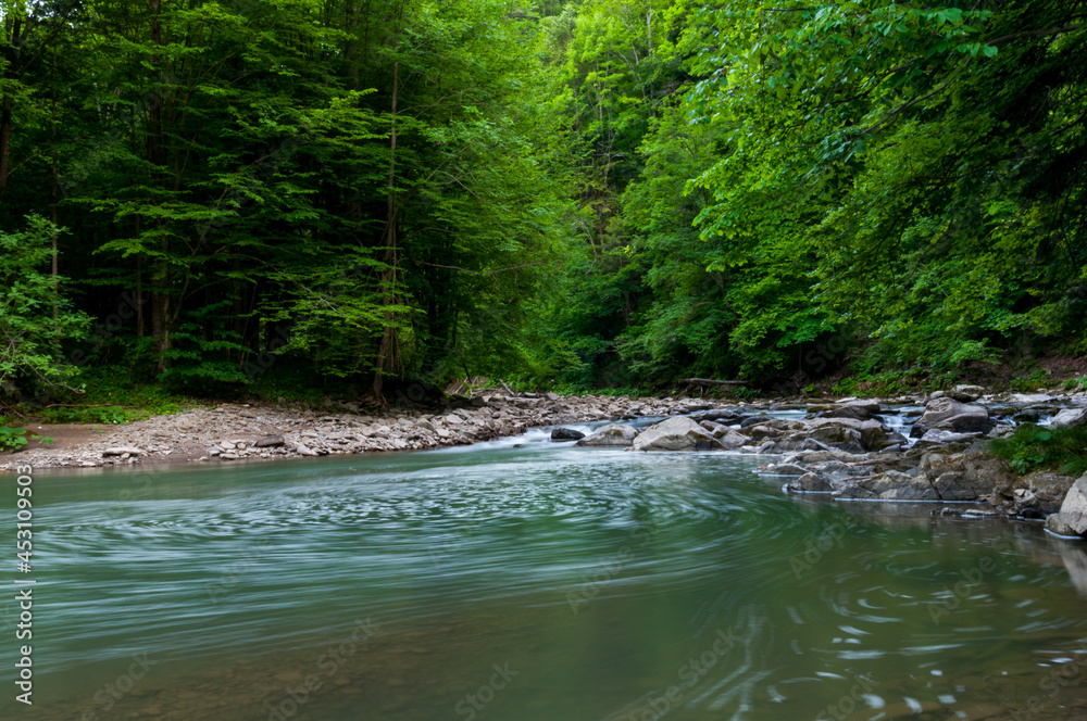 The Wetlinka River flowing through the Sine Wiry Reserve, the Bieszczady Mountains The Wetlinka River flowing through the Sine Wiry Reserve, the Bieszczady Mountains
