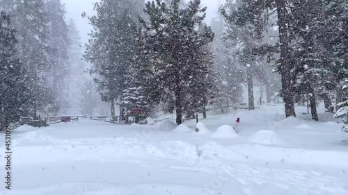 4K footage of a snowstorm in Sequoia National Park. photo