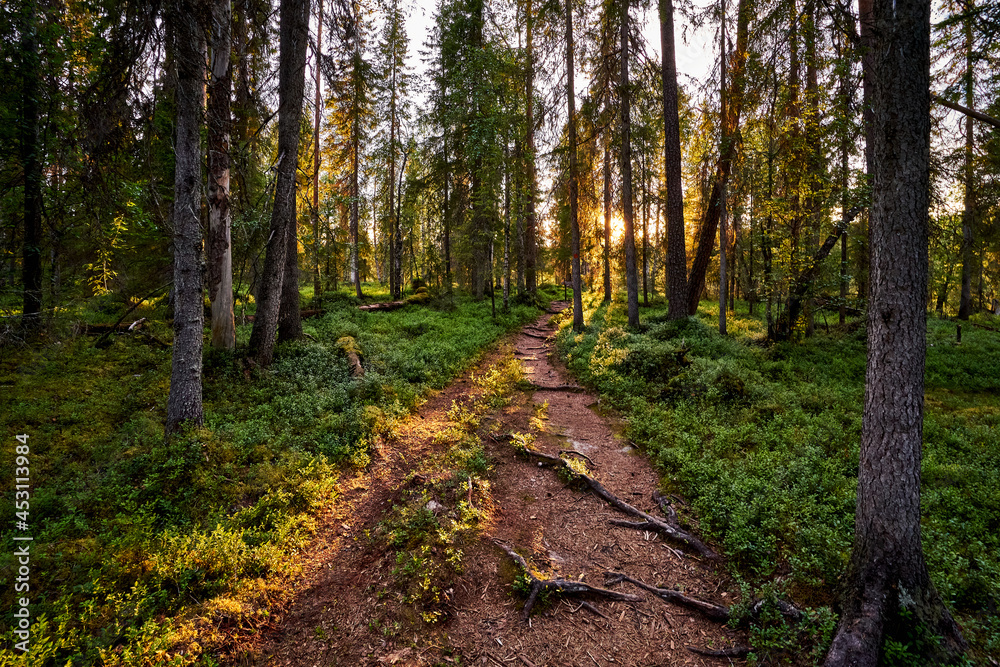 Obraz premium Midnight sun