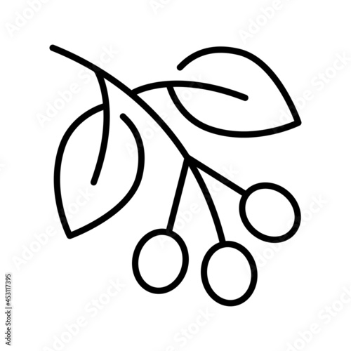 Monochrome coffee plant twig icon vector illustration growing fresh botanical branch with beans