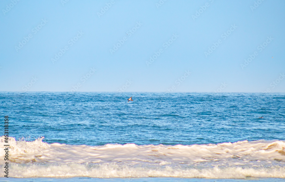 Fototapeta premium beach and sea