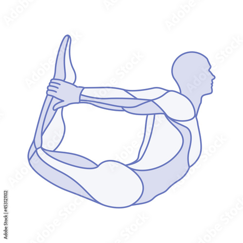 Yoga pose male anatomy body muscles parts
