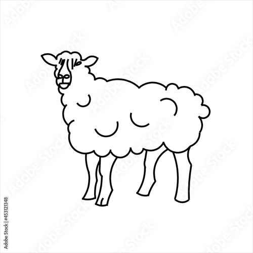 Vector design of a sketch of a sheep