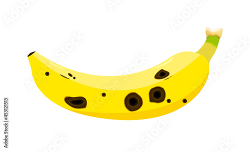 Banana fruit are damaged by Anthracnose (blight disease) or Colletotrichum Fungi. Pathogens cause to rot, black circular wound, sagged and wither. Design on white background photo