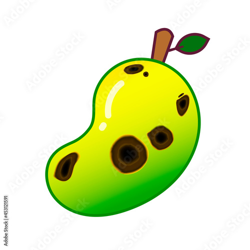 Mango fruit are damaged by Anthracnose (blight disease) or Colletotrichum Fungi. Pathogens cause to rot, black circular wound, sagged and wither. Design on white background