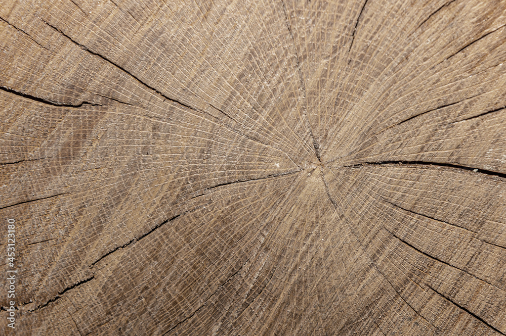 Fototapeta premium Dark brown wooden texture background. Rustic background