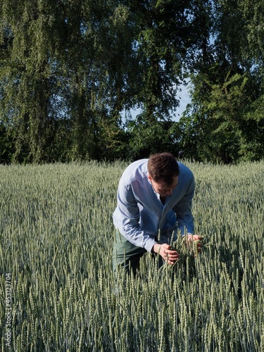 farmer in wheat field © Inna