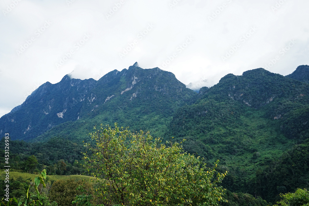 Natural landscape of green mountain range with cloudy blue sky