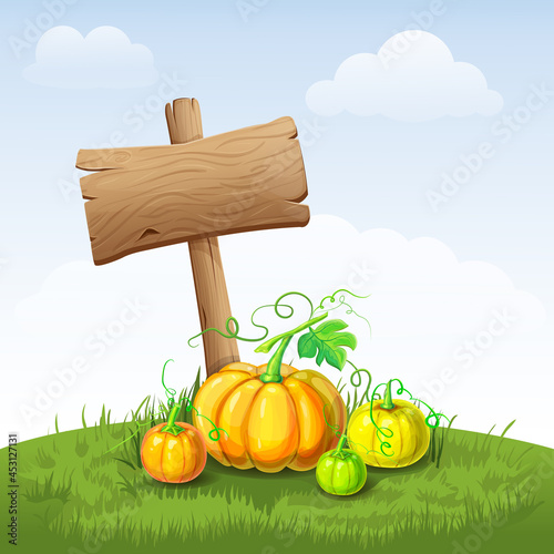 beautiful autumn landscape with pumpkins and wooden signboard. illustration of fall harvest with blank signpost on grass or field. hello autumn poster, fall festival or Thanksgiving banner template.