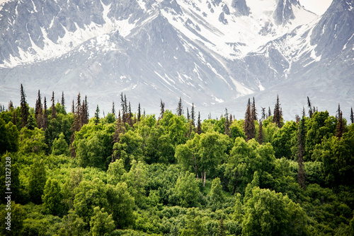 USA, Alaska, Forest and snowy mountains photo