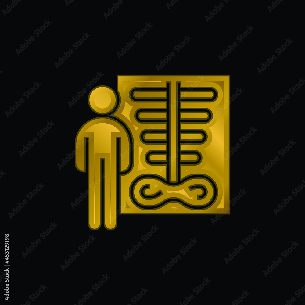 Bone Density gold plated metalic icon or logo vector Bone Density gold plated metalic icon or logo vector