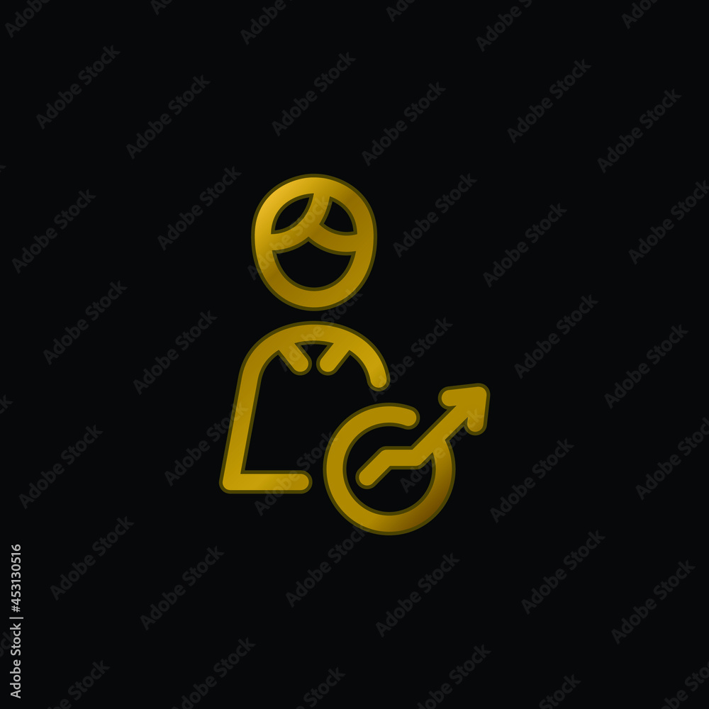 Analyst gold plated metalic icon or logo vector