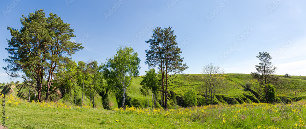 Fototapeta Wąwóz o stromych gliniastych zboczach porośniętych pojedynczymi drzewami