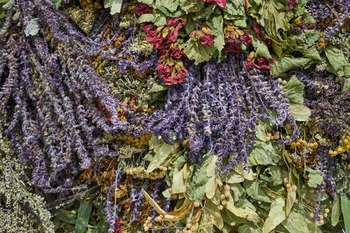 Fotografie Image of dried flowers.