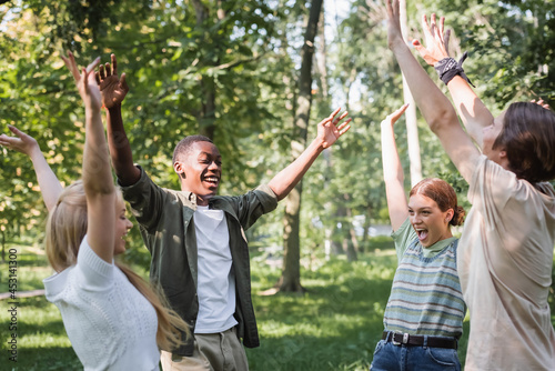 Excited multiethnic teenagers raising hands in park