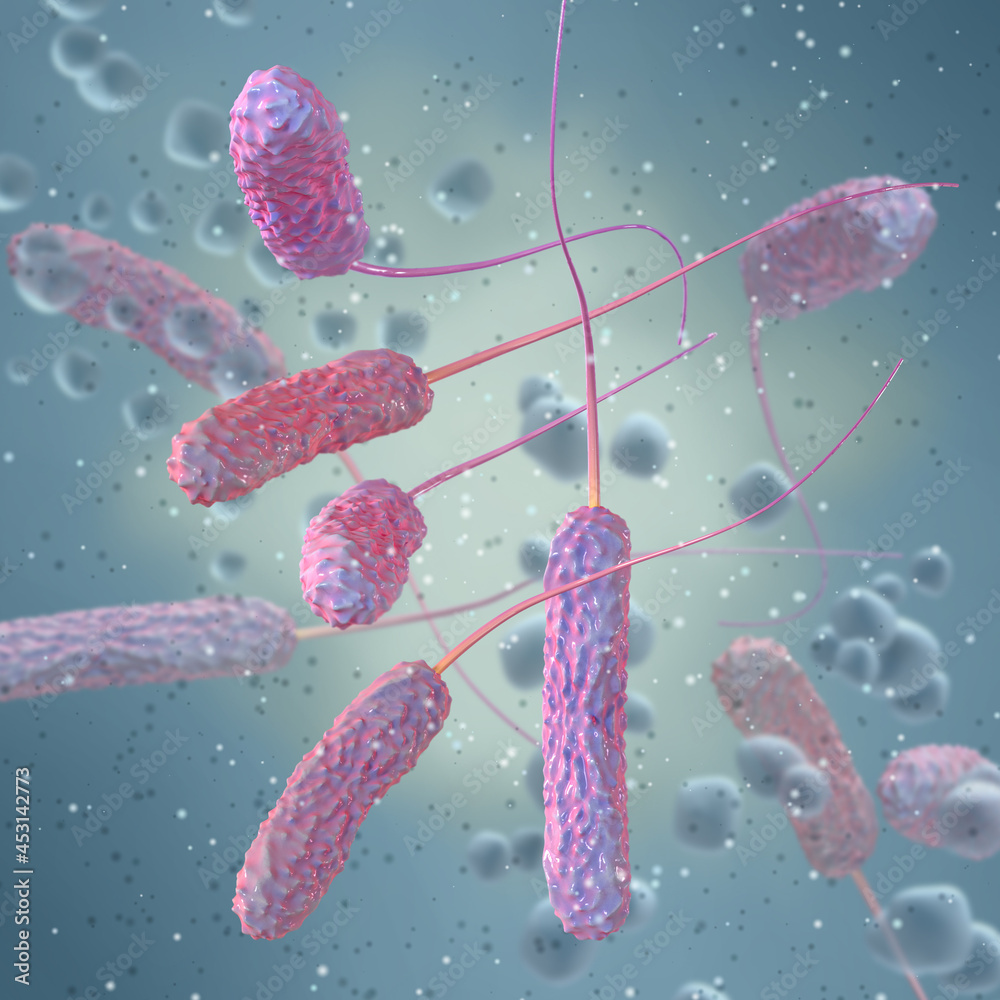 Medical background, monotrichous bacteria rod-shaped bacteria having a ...