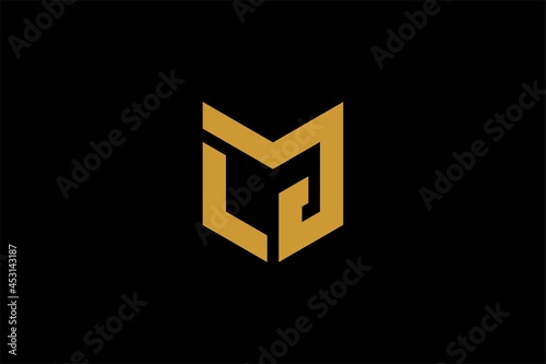 Letter LG logo design vector. Monogram LG logo design. Outline type vector icon.