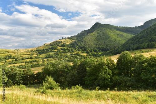 Beautiful landscape  with trees and hills on Trascau mountains in Transylvania  Romania.