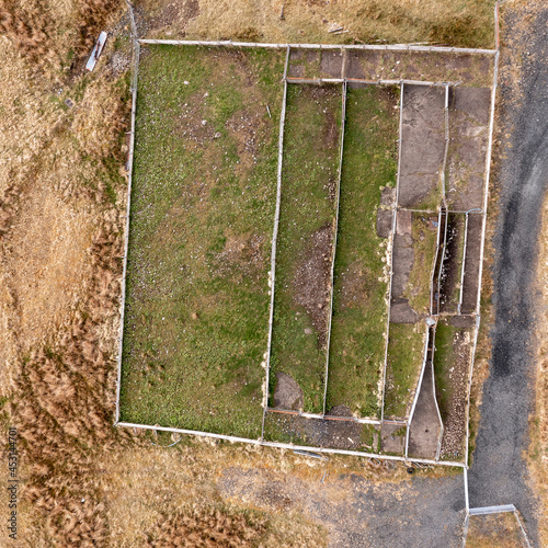 Sheep pens photo