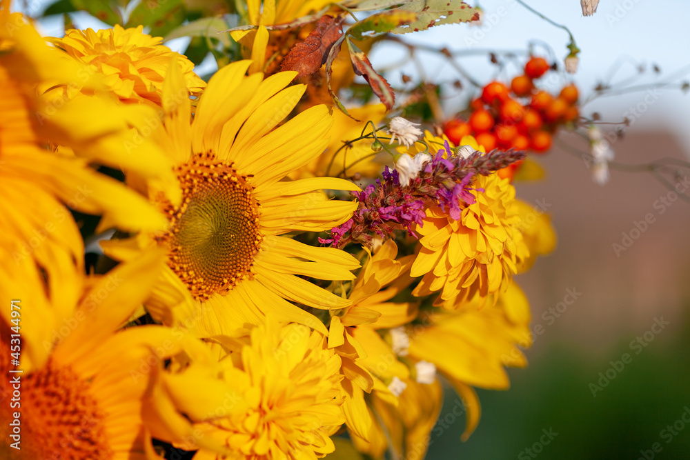 Beautiful autumnal bouquet of bright yellow sunflower on sunset in countryside Beautiful autumnal bouquet of bright yellow sunflower on sunset in countryside