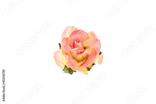 Paper rose flower for scrapbooking  isolated on white background. Scrapbook element