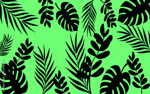 Forms of foliage on light green background photo