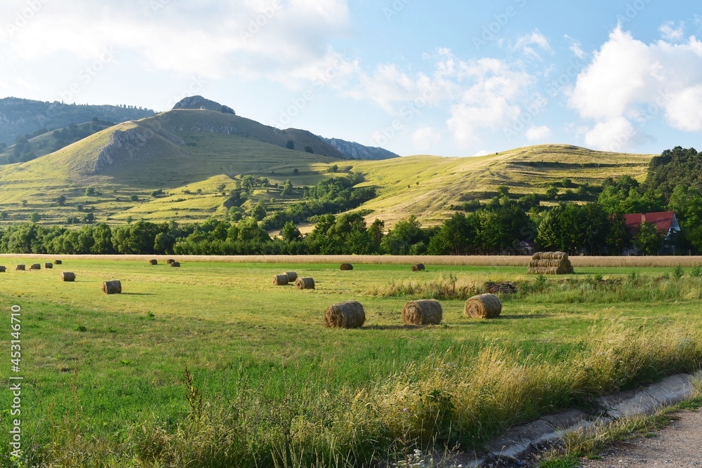 Beautiful mountain landscape with green meadow and round hay bales. Trascau mountains, Transylvania, Romania.