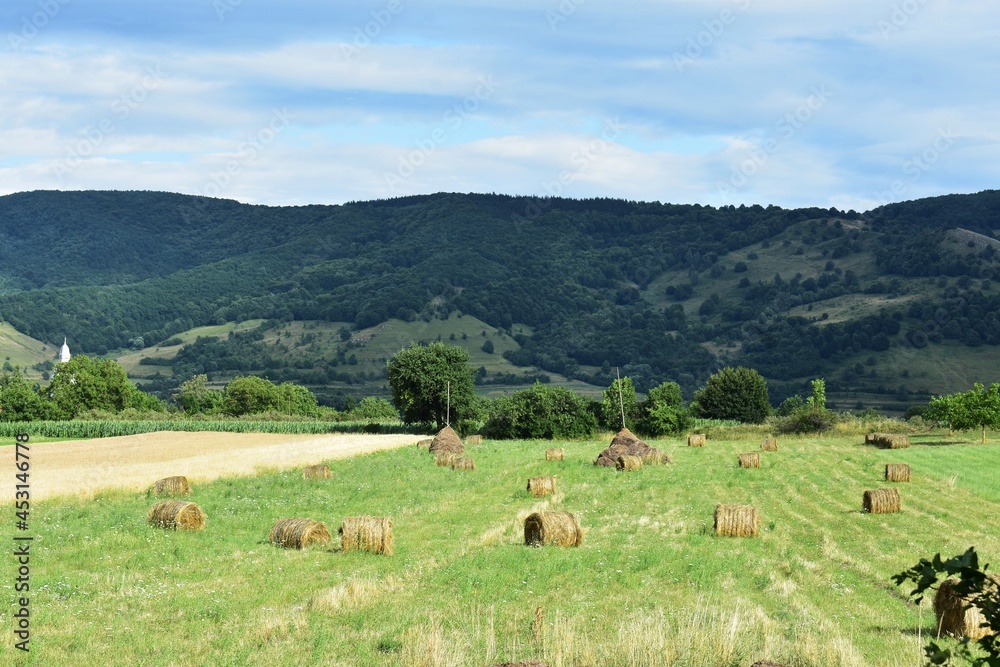 Beautiful mountain landscape with green meadow and round hay bales. Trascau mountains, Transylvania, Romania.