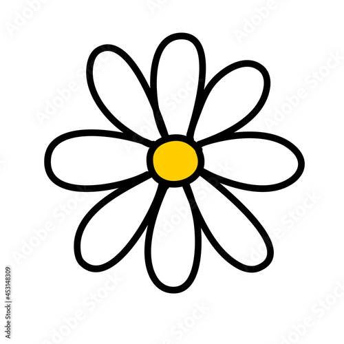 daisy flower isolated hand drawn on white vector