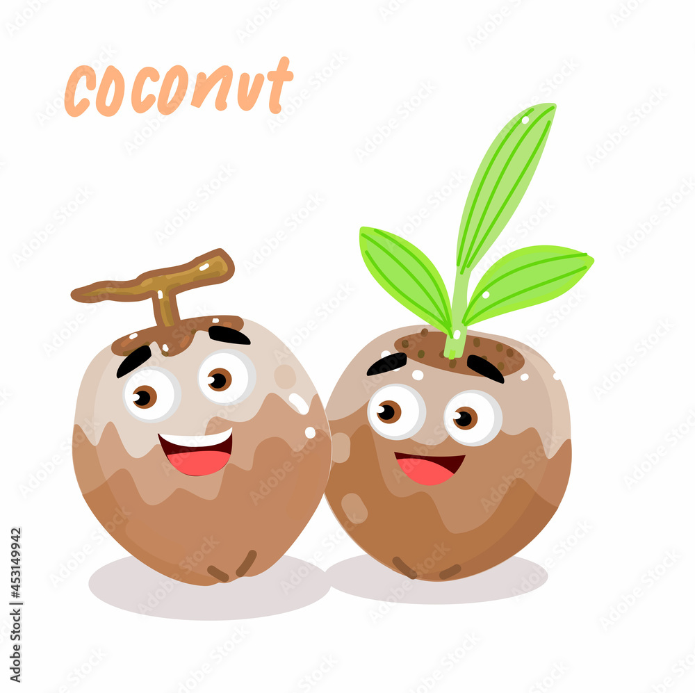 Obraz premium Coconut on White Background Vector