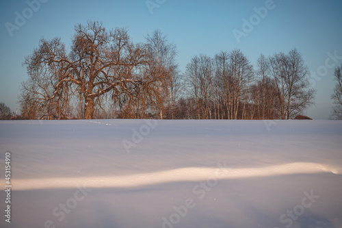 Winter sunset. Landscape, snow-covered field in the rays of sunset with frozen trees on the horizon in backlight