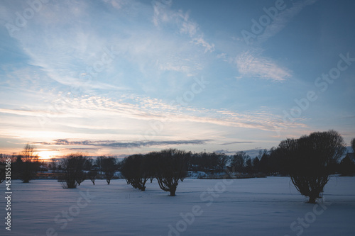 evening sunset over snow covered field, tree silhouettes with leafless branches, magentas and blues, copy space for text on snow, almost cloudless sky, heavenly beautiful blue hour in january