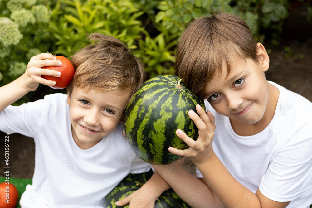 Fototapeta premium Portrait of two cheerful boys in white T-shirts with a watermelon and a tomato in a green garden.