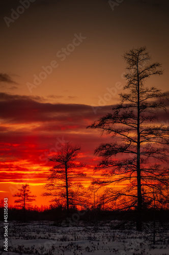 Winter sunset at Mer Bleue.
