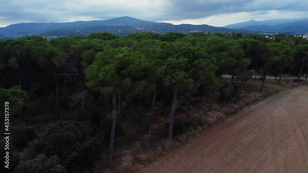 Vista aerea ampo con bosque de pinos con nubes tormentosas al fondo Vista aerea ampo con bosque de pinos con nubes tormentosas al fondo