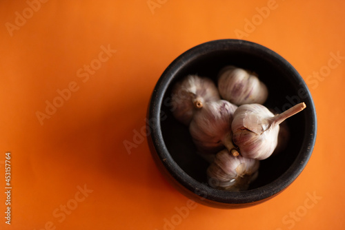 Garlic (on orange background) 