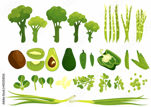 Green goods, fresh vegetables, green-stuff big vector compilation set isolated. Avocado, pees bell pepper jalapeno green onion spinach cress salad, asparagus, broccoli, vitamin splash, salad.
