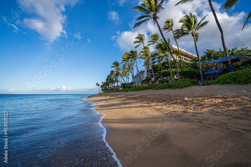 Early morning sunshine paints the lush palm trees and dense foliage on Ka'anapali Beach in Lahaina, Maui, Hawaii. Meanwhile, the calm azure surf tickles the shoreline and slowly erases the footprints 