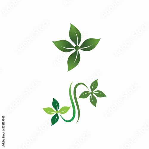 Fototapeta Naklejka Na Ścianę i Meble -  Leaf icon Vector Illustration design Logo template