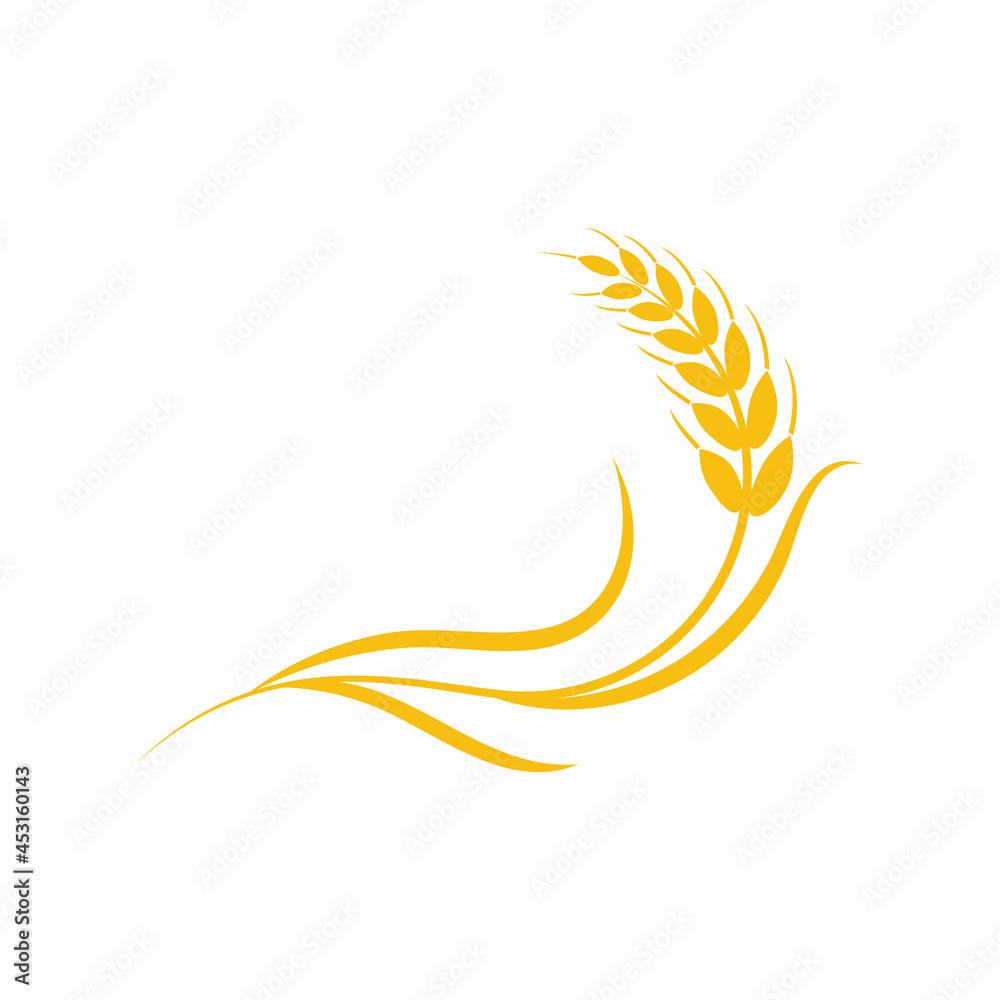Agriculture wheat vector icon design Agriculture wheat vector icon design