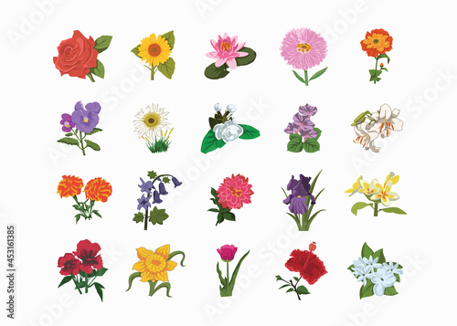 Flowers color clipart set