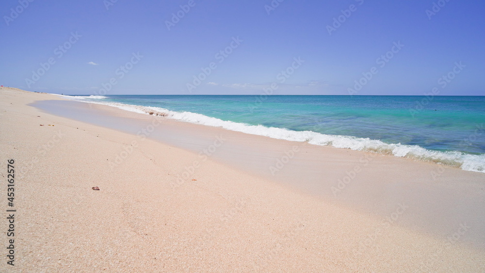 Blue Ocean, Yellow Sandy Beach Nature Tropical Islands Oahu Hawaii. Pacific Ocean. Turquoise sea background. Clear sunny day in the tropics.