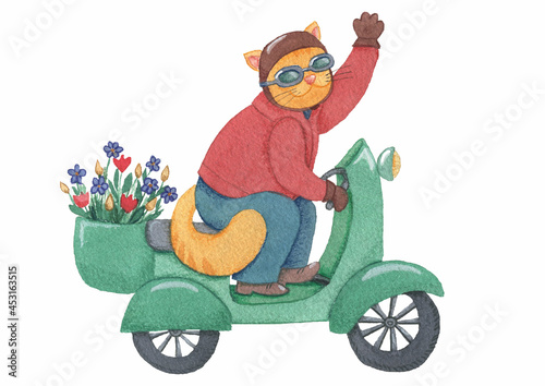 cat on motocycle with flowers