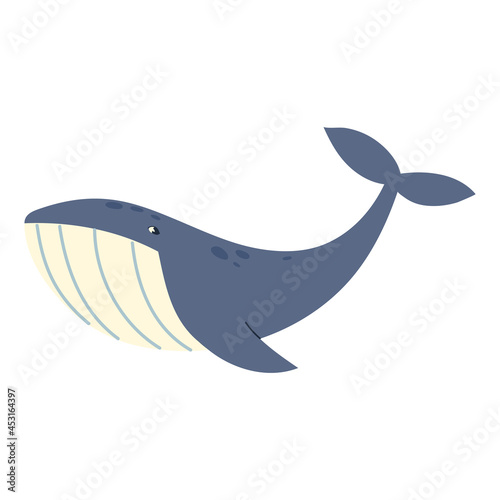 whale animal sea